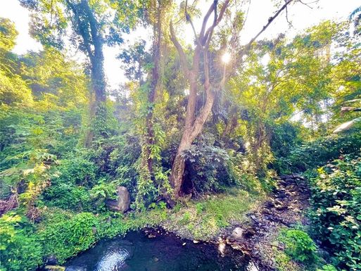 LOTE E QUEBRADA HONDA