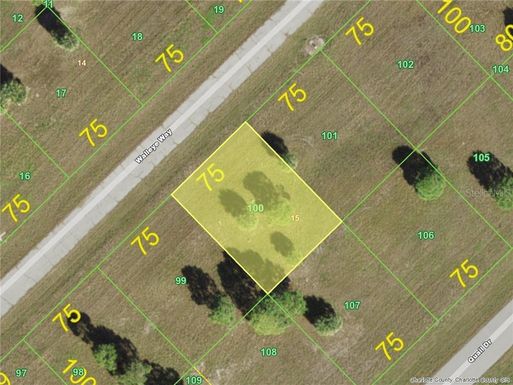 13716 WALLEYE (LOT 100) WAY