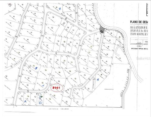 1131 CALLE CERRO PANDURA