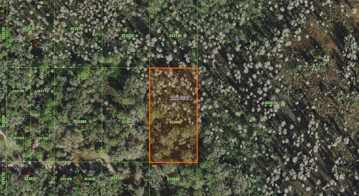 INACCESSIBLE TRACT, KATHLEEN FL 33849