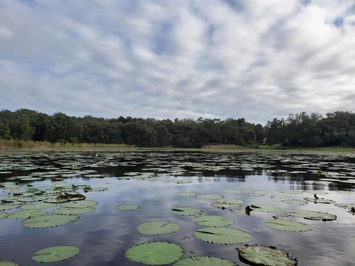 E SPRING LAKE BOULEVARD
