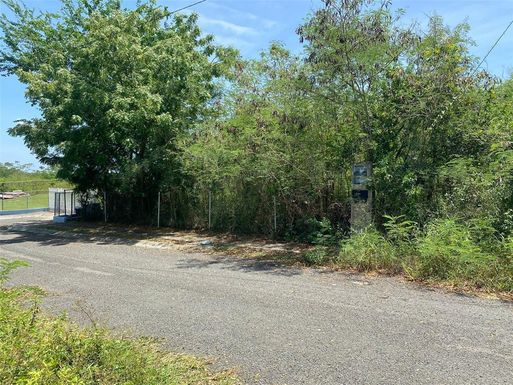 B-3 URB. ALTOS DE SAMÁN, CABO ROJO