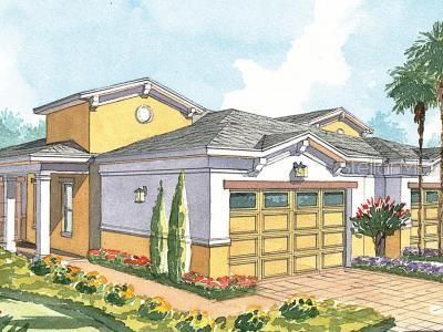 2564 YELLOW BRICK ROAD