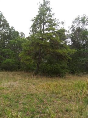 13960 NE 66TH AVENUE