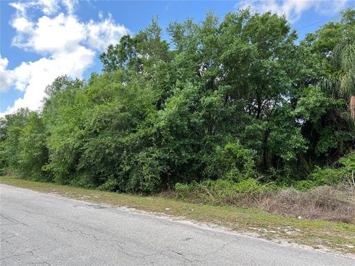 NE SUGAR BABE AVENUE