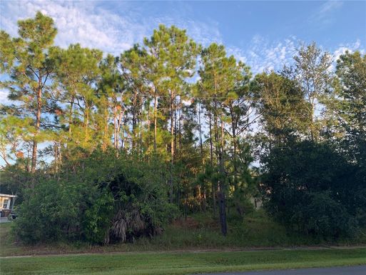 SHINGLE CREEK COURT