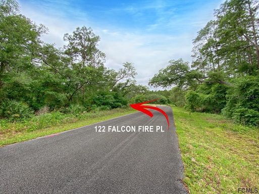 122 FALCON FIRE PLACE