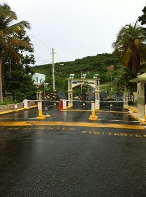 CERRO PICO DEL ESTE UNIT 1164