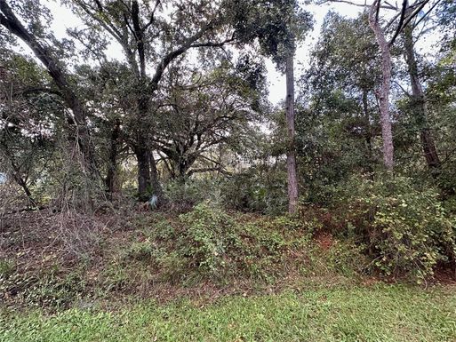 2ND AVENUE, KENANSVILLE FL 34739