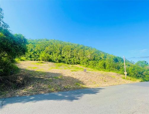 ARENAS BO SUSUA BAJA CARR 3332 KM # 2.2 UNIT 19