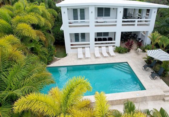 468 BRAVOS DE BOSTON