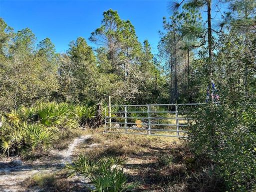 451 VOLUSIAN FOREST TRAIL
