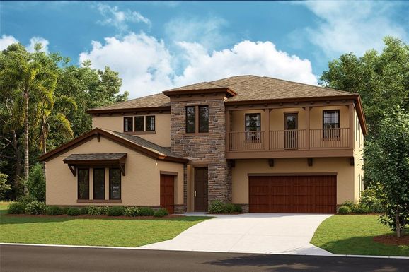 12948 STEED TRACE LOOP