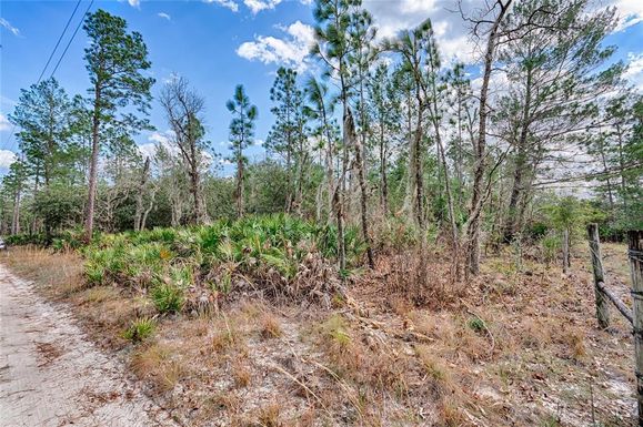 217 SADDLEBACK TRAIL