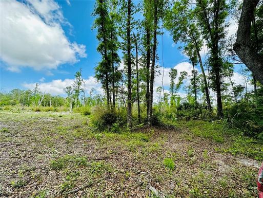10739 SPRING WARRIOR ROAD, PERRY FL 32348