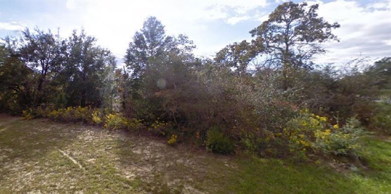 BECK COURT, CHIPLEY FL 32428