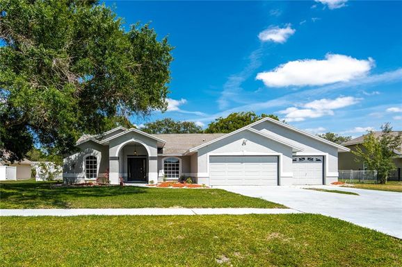 12231 LANGSHAW DRIVE, THONOTOSASSA FL 33592