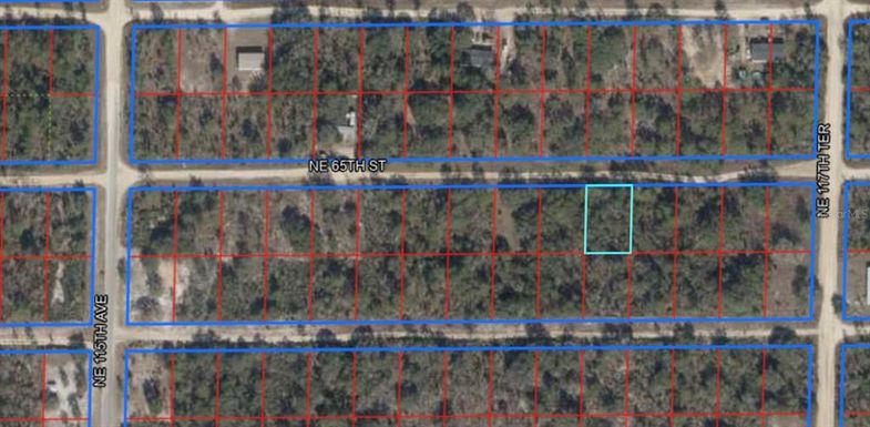 0 NE 65TH STREET, WILLISTON FL 32696