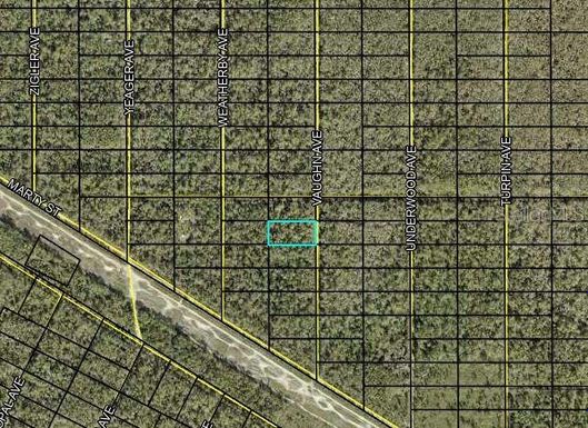 VAUGHN AVENUE, HASTINGS FL 32145