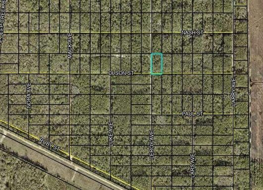 x OLSEN STREET, HASTINGS FL 32145