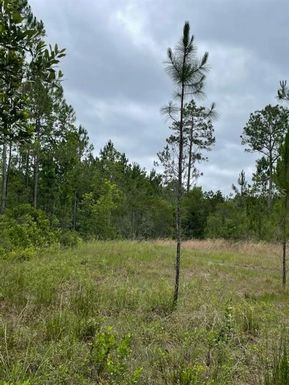 112 LISA ANN TRAIL, PALATKA FL 32177