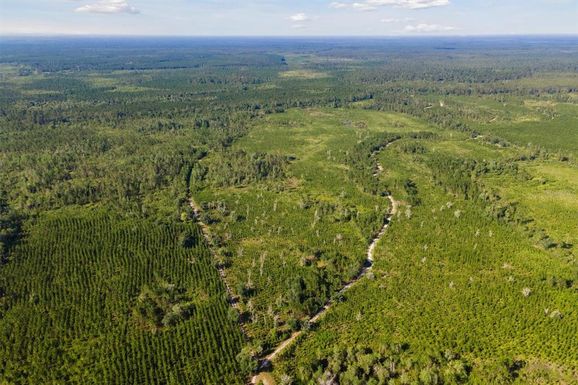SW CAMP P ROAD, MADISON FL 32340
