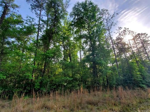 TBD SW TEXAS LANE, FORT WHITE FL 32038
