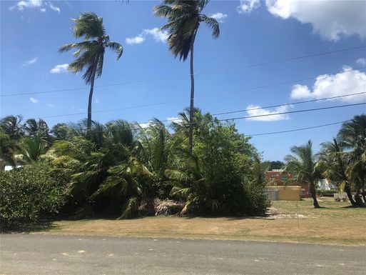 LOT 15 STREET #1 SABANA WARD