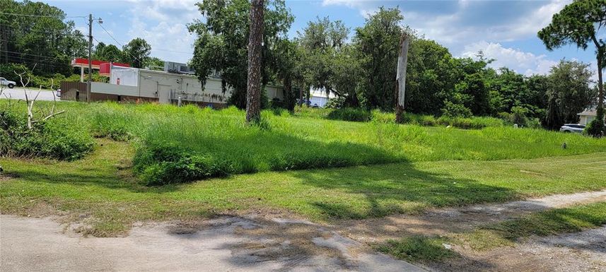 Lot 600 GRADY POLK ROAD