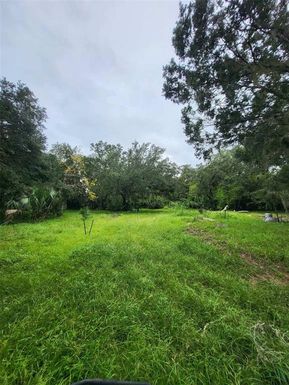 544 MAYTOWN ROAD, OAK HILL FL 32759