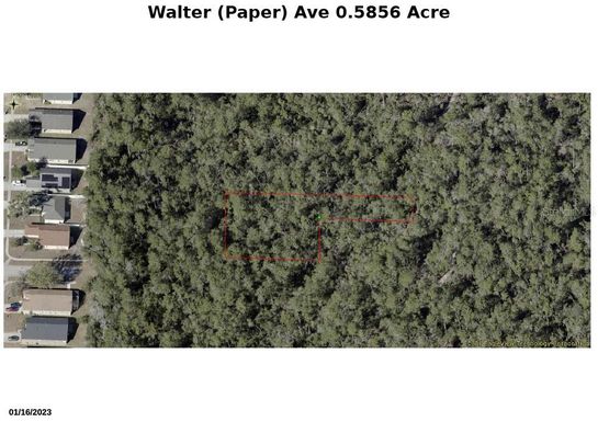 WALTER PAPER AVENUE