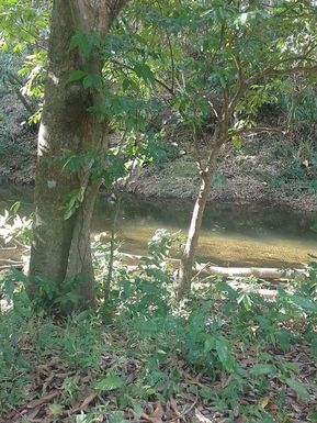 CARR. 361 KMHM 001.7, CAIN ALTO