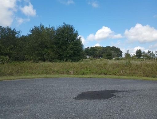 Lot 1 MUSTANG TRAIL, WEIRSDALE FL 32195