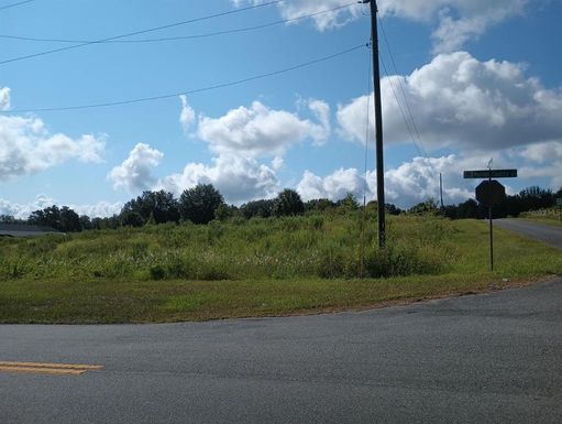 Lot 4 MARION COUNTY ROAD, WEIRSDALE FL 32195