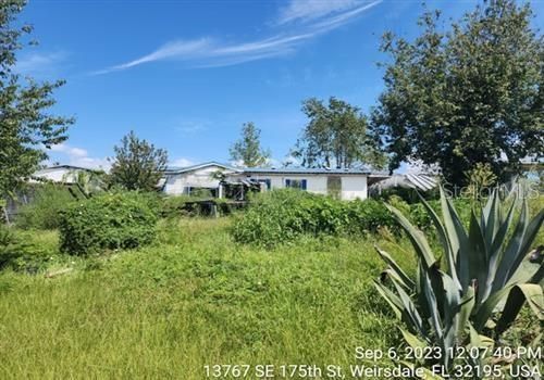 13767 SE 175TH STREET, WEIRSDALE FL 32195