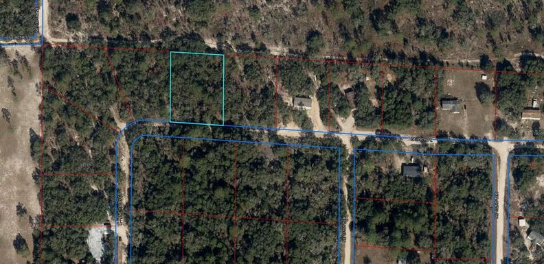 0000 NE 79TH PLACE, BRONSON FL 32621