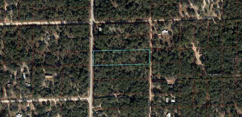 8411 NE 118TH TERRACE, BRONSON FL 32621