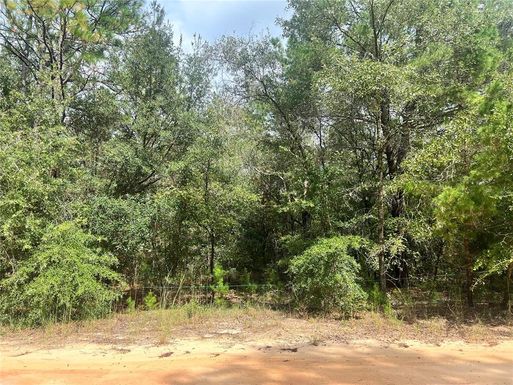 7183 COE DRIVE, KEYSTONE HEIGHTS FL 32656