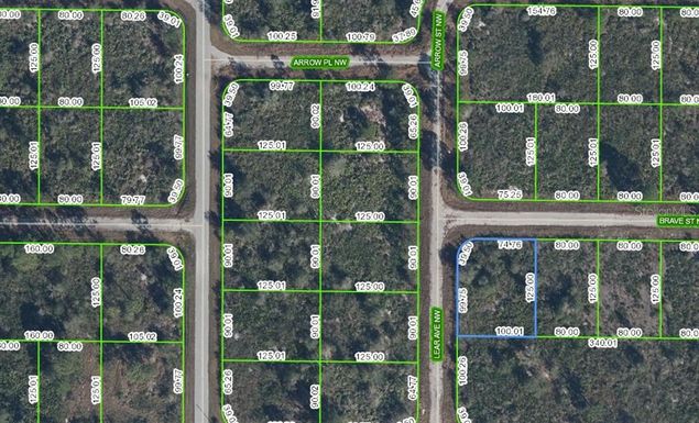 108 LEAR AVENUE NW, LAKE PLACID FL 33852