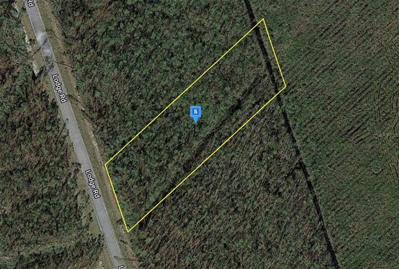 100 LODGE ROAD, WEWAHITCHKA FL 32465