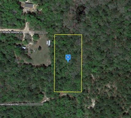 2250 SHADY HOLLOW LN, CARYVILLE FL 32425