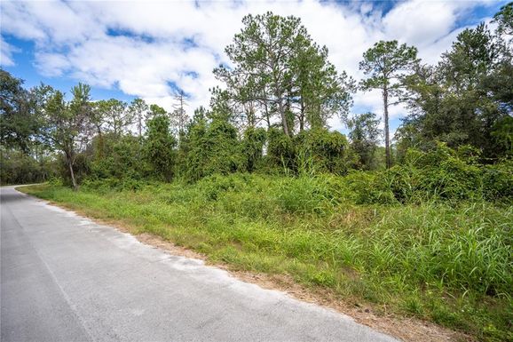 TBD LOCUST RUN DRIVE