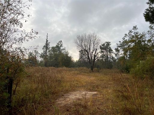 20027 TIMBERCREST ROAD, FOUNTAIN FL 32438