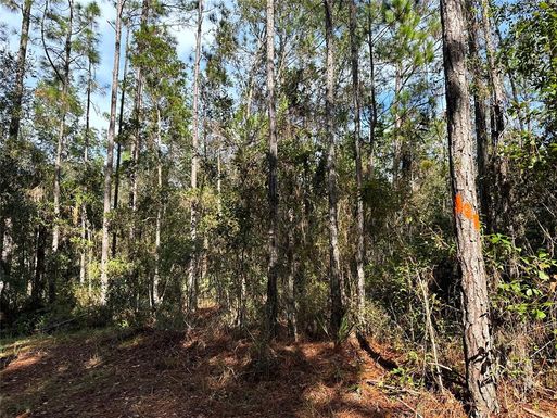 000 FLORIDA NAT'L SCENIC TRL, PALATKA FL 32177