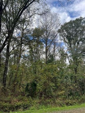 10675 UNDERWOOD AVENUE, HASTINGS FL 32145