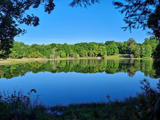 SPRING LAKE ROAD