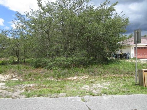 1420 PUNTA GORDA COURT