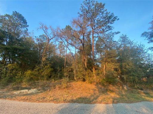 Lot 28 SW 206 CIRCLE