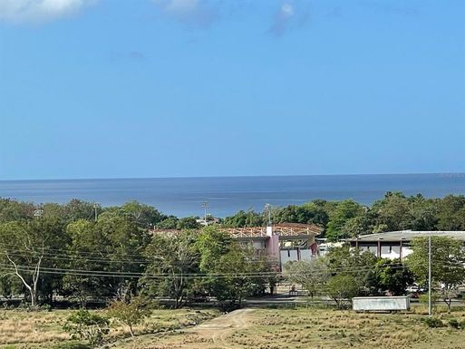 SECTOR MANI BO. PUEBLO CARR 115 KM 11.6 INT