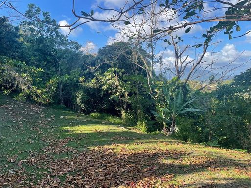 BO. COLLORES CALLE 924